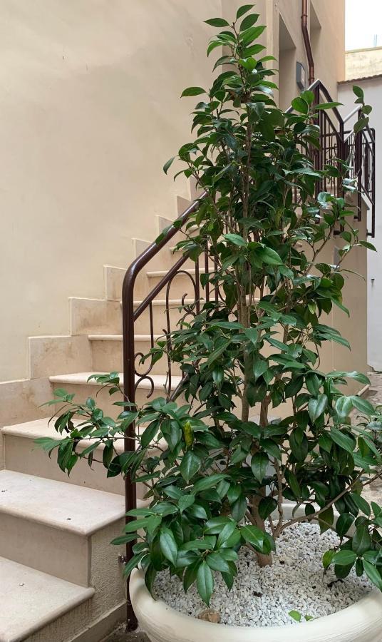 Palo del Colle Appartamento Camelia מראה חיצוני תמונה